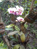 /album/galeria-de-fotos/a04-07-08-1235-jpg/