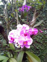 /album/galeria-de-fotos/a04-07-08-1236-jpg/