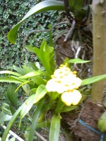 /album/galeria-de-fotos/a04-07-08-1237-jpg/