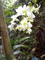 /album/galeria-de-fotos/a04-07-08-1238-jpg1/