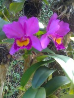 /album/galeria-de-fotos/a16-05-08-1226-jpg/