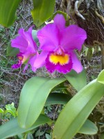 /album/galeria-de-fotos/a16-05-08-1308-jpg/