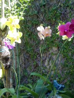 /album/galeria-de-fotos/a21-05-08-1306-jpg/