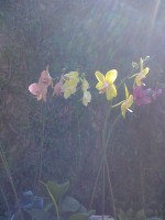 /album/galeria-de-fotos/a21-05-08-1307-jpg/