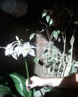 /album/galeria-de-fotos/a30-05-10-1514-jpg/