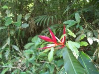 /album/galeria-de-fotos/a101-1043-jpg/