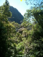 /album/galeria-de-fotos/a101-1040-jpg/