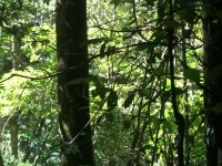 /album/galeria-de-fotos/a101-1041-jpg/