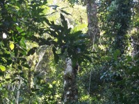 /album/galeria-de-fotos/a101-1046-jpg/