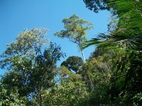 /album/galeria-de-fotos/a101-1047-jpg/