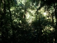 /album/galeria-de-fotos/a101-1064-jpg/