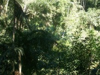 /album/galeria-de-fotos/a101-1070-jpg/