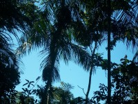 /album/galeria-de-fotos/a101-1071-jpg/