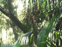 /album/galeria-de-fotos/a101-1072-jpg/