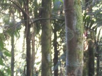 /album/galeria-de-fotos/a101-1073-jpg/