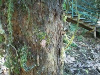 /album/galeria-de-fotos/a101-1074-jpg/