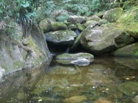 /album/galeria-de-fotos/a101-1079-jpg/