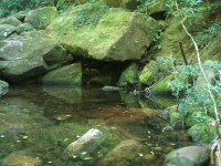 /album/galeria-de-fotos/a101-1080-jpg/