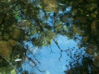 /album/galeria-de-fotos/a101-1081-jpg/