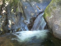 /album/galeria-de-fotos/a101-1085-jpg/