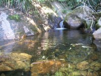 /album/galeria-de-fotos/a101-1086-jpg/