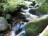 /album/galeria-de-fotos/a101-1110-jpg/