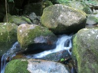 /album/galeria-de-fotos/a101-1111-jpg/