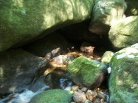 /album/galeria-de-fotos/a101-1113-jpg/