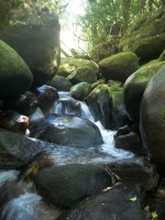 /album/galeria-de-fotos/a101-1114-jpg/