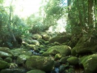 /album/galeria-de-fotos/a101-1115-jpg/