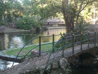 /album/galeria-de-fotos/a101-1132-jpg/