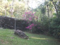 /album/galeria-de-fotos/a101-1133-jpg/