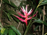 /album/galeria-de-fotos/a101-1139-jpg/